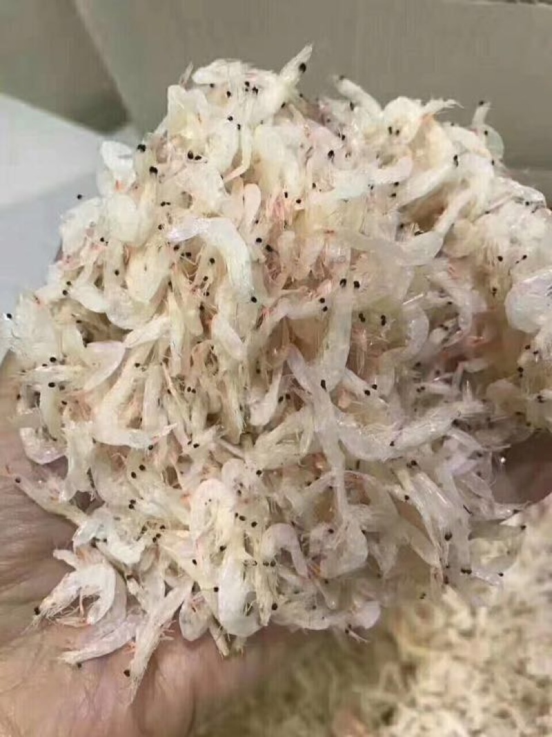 虾皮特级
