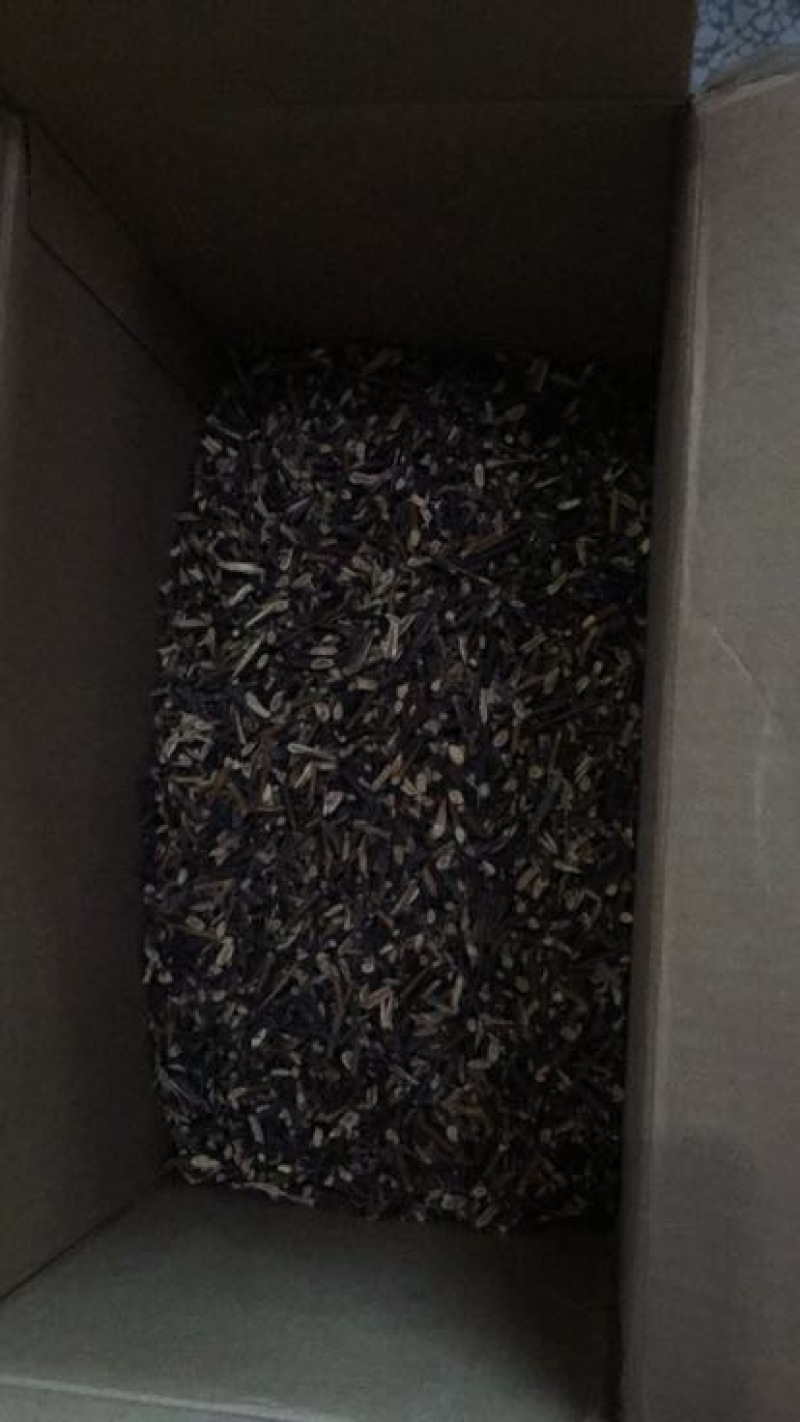 皂角刺机器切片