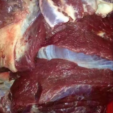 驴肉鲜货