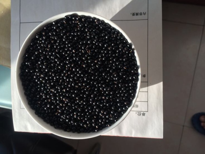【热销】山东花椒籽散装粒大饱满自然晾晒发芽率高大量供应