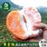 柚子产地直供看货采摘保质保量欢迎咨询订购