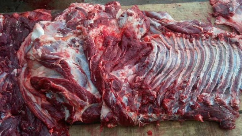 驴肉鲜货