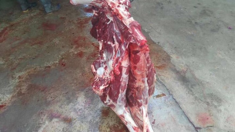 驴肉鲜货