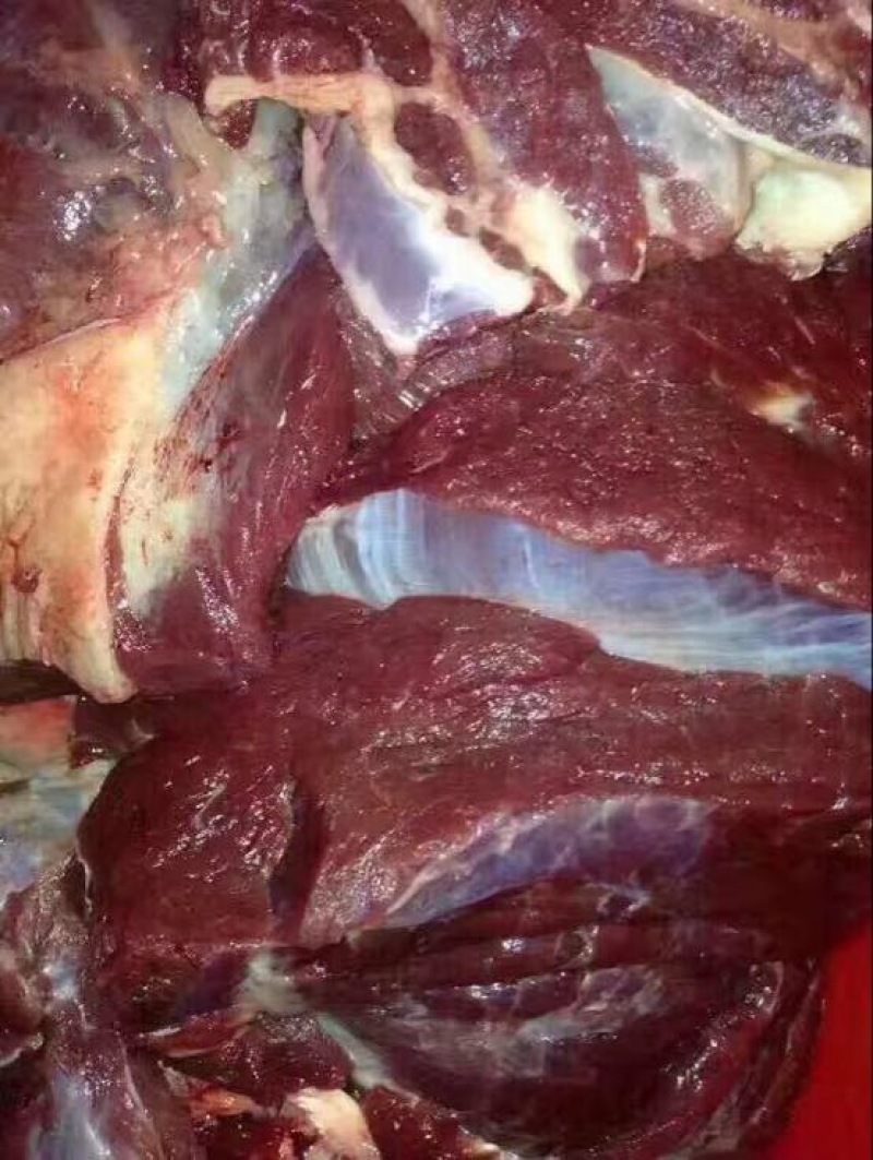 驴肉鲜货
