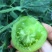 水晶番茄精品绿宝石西红柿绿色西红柿绿宝石