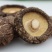 福建特级香菇黑厚，干度足，香味足3~4cm