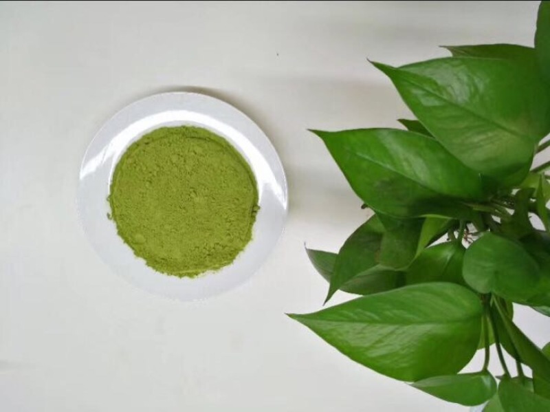 豆腐树苗80~100cm