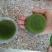 豆腐树苗80~100cm
