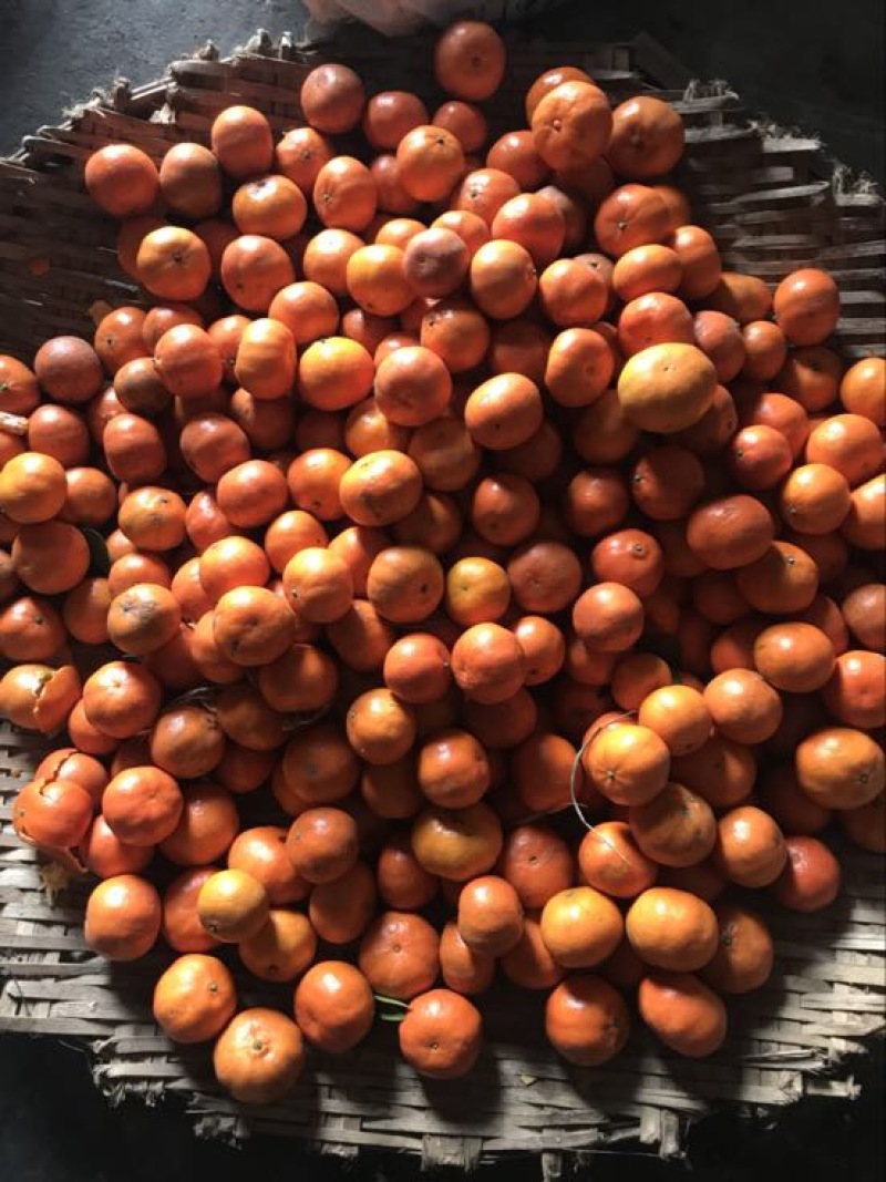麻汤。麻糖叮叮糖麦芽糖纯手工无添加