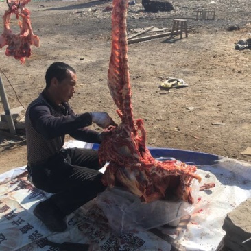 驴肉鲜货
