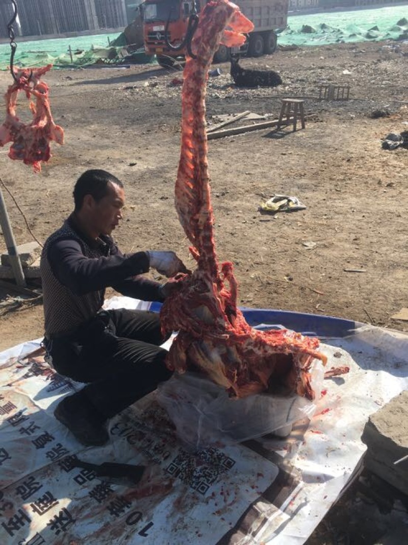 驴肉鲜货
