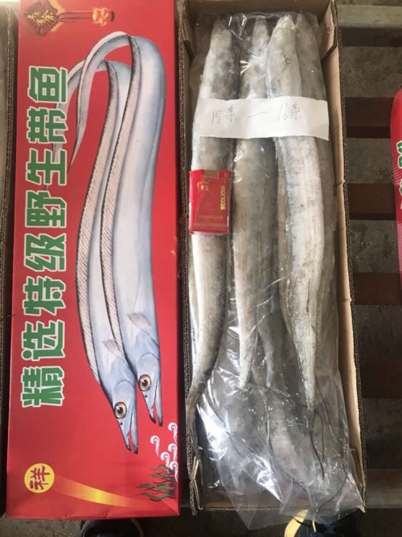 刀鱼食用冻鱼