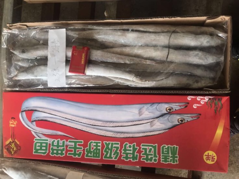 刀鱼食用冻鱼