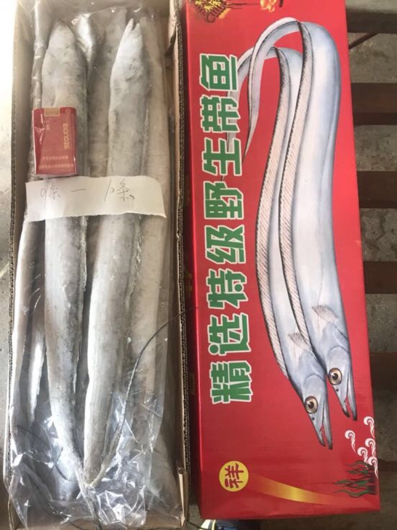 刀鱼食用冻鱼