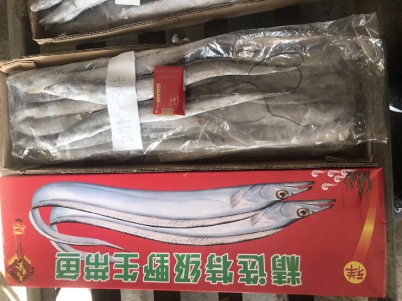 刀鱼食用冻鱼