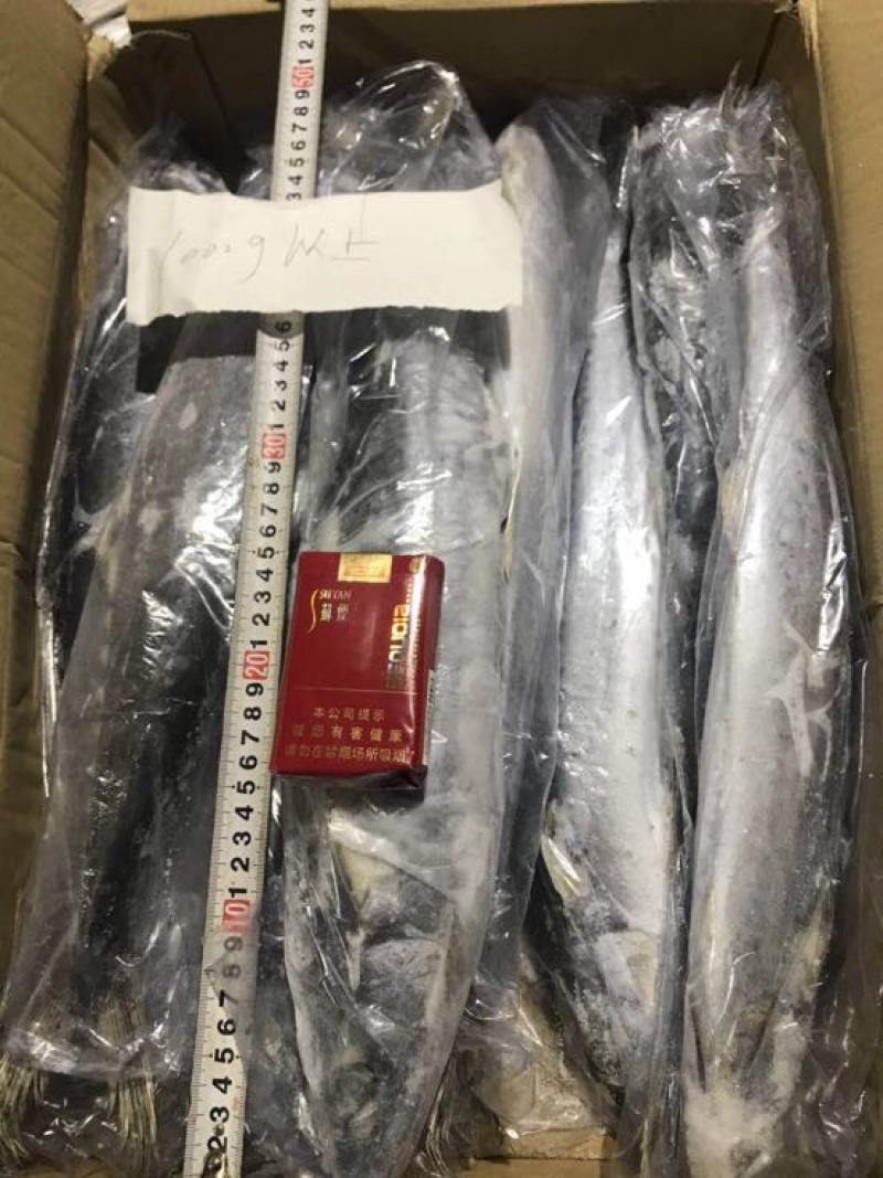 刀鱼食用冻鱼