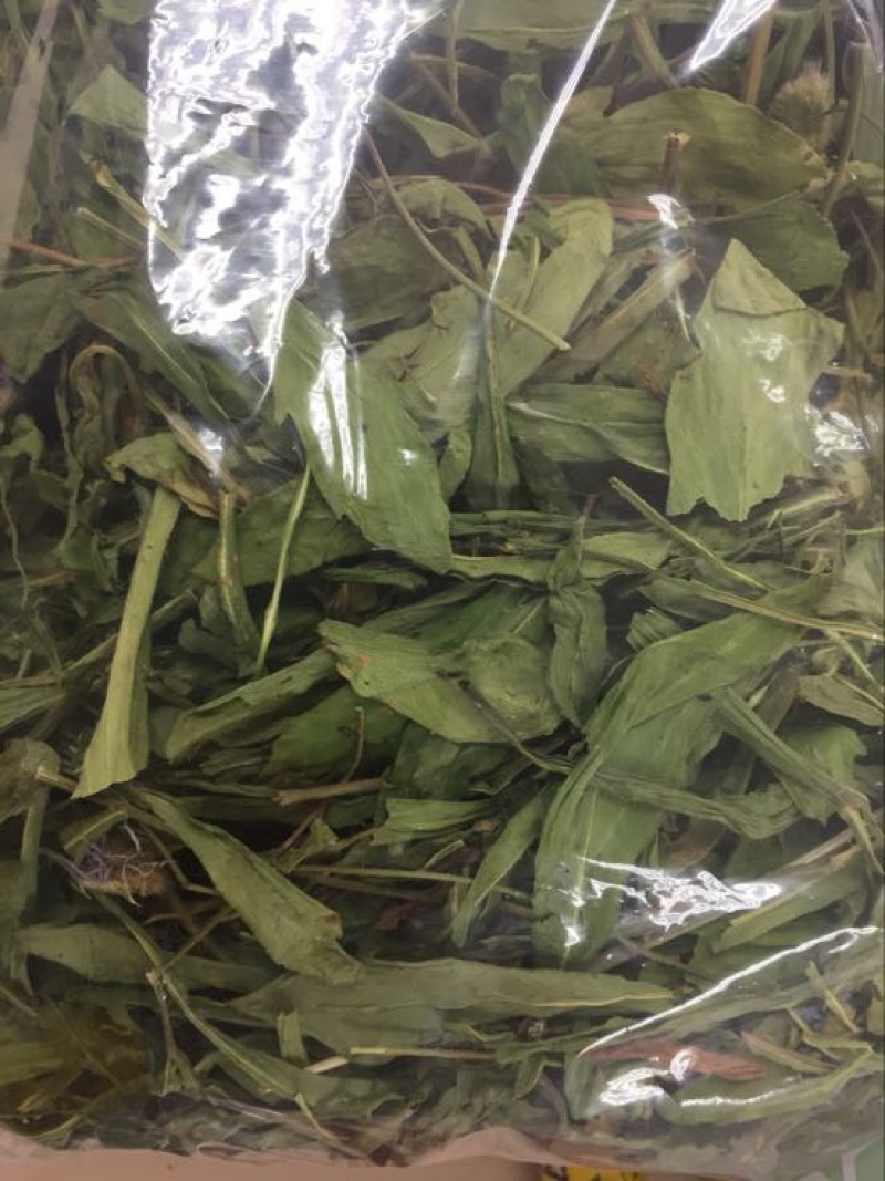 灯盏细辛