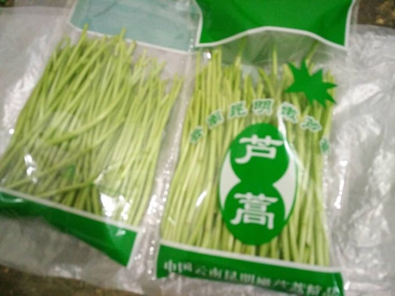 芦篙