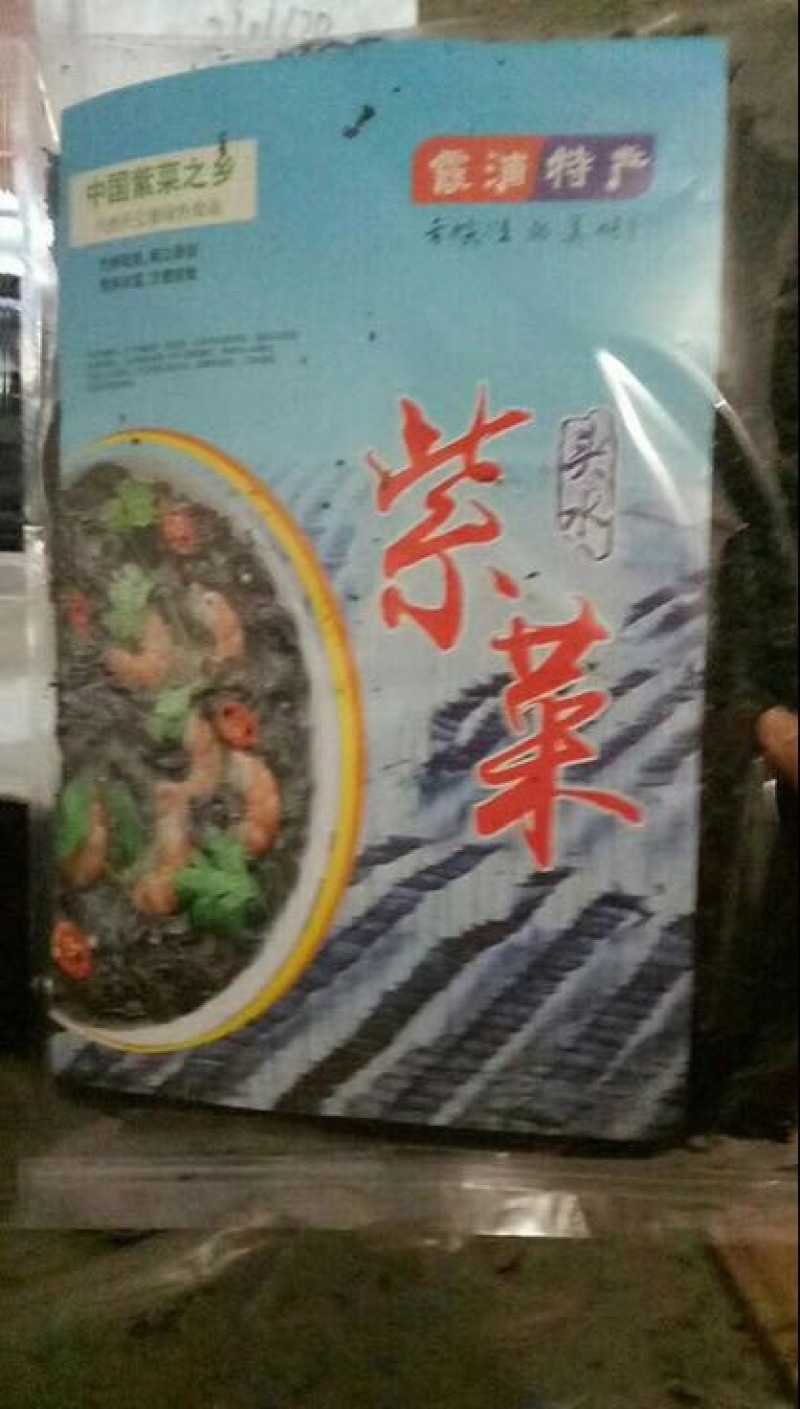 霞浦紫菜人工养殖头水