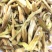 黄花菜散装一级