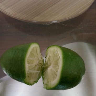 香水柠檬树苗50~80cm