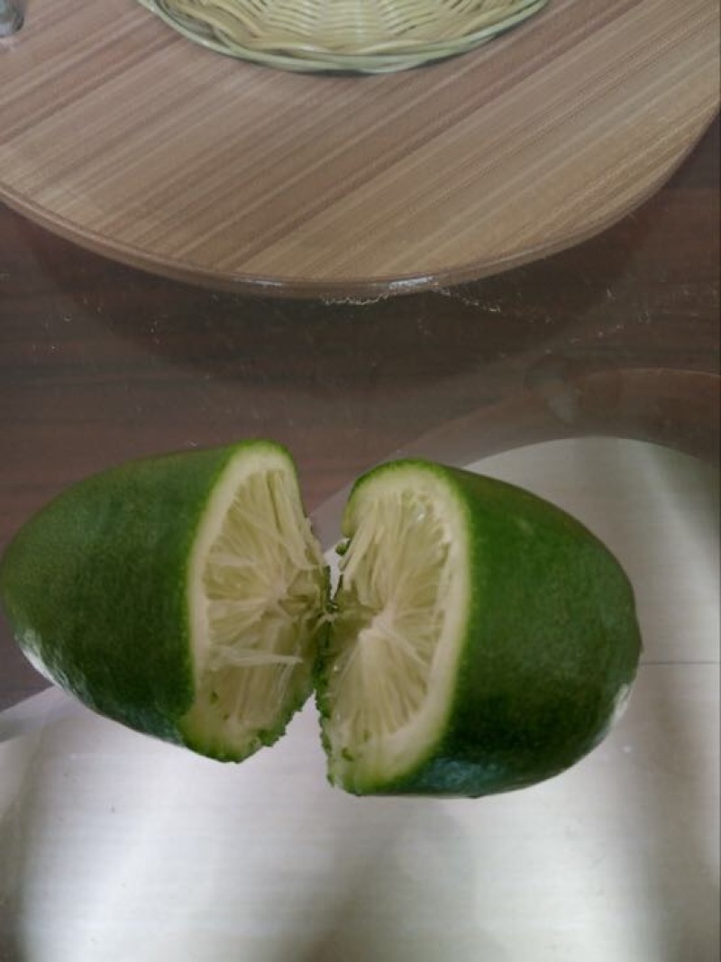 香水柠檬树苗50~80cm