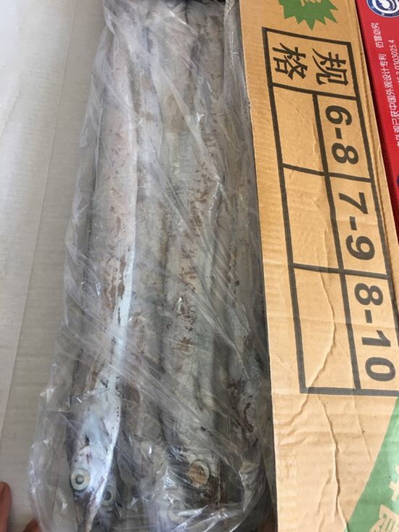 刀鱼食用冻鱼
