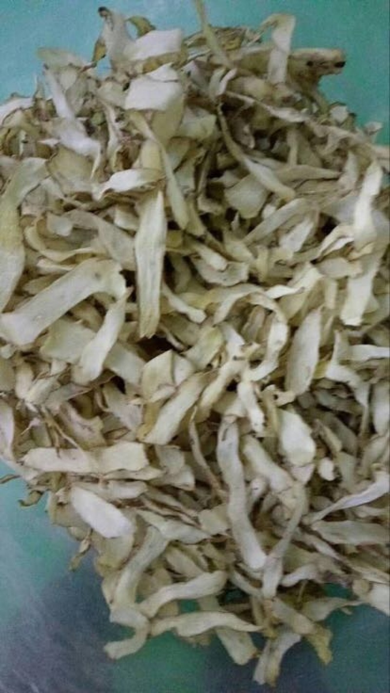 玉竹干