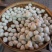 鱼丸