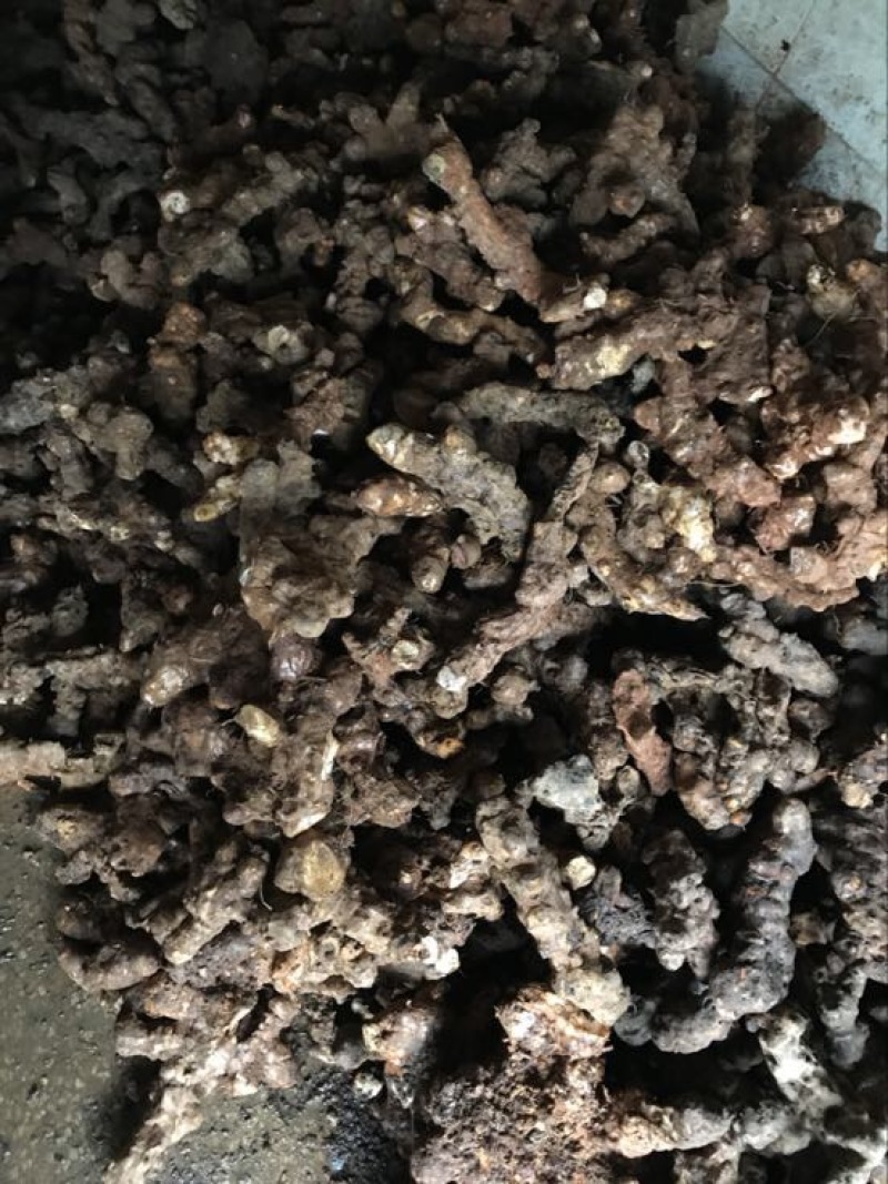 土茯苓统个