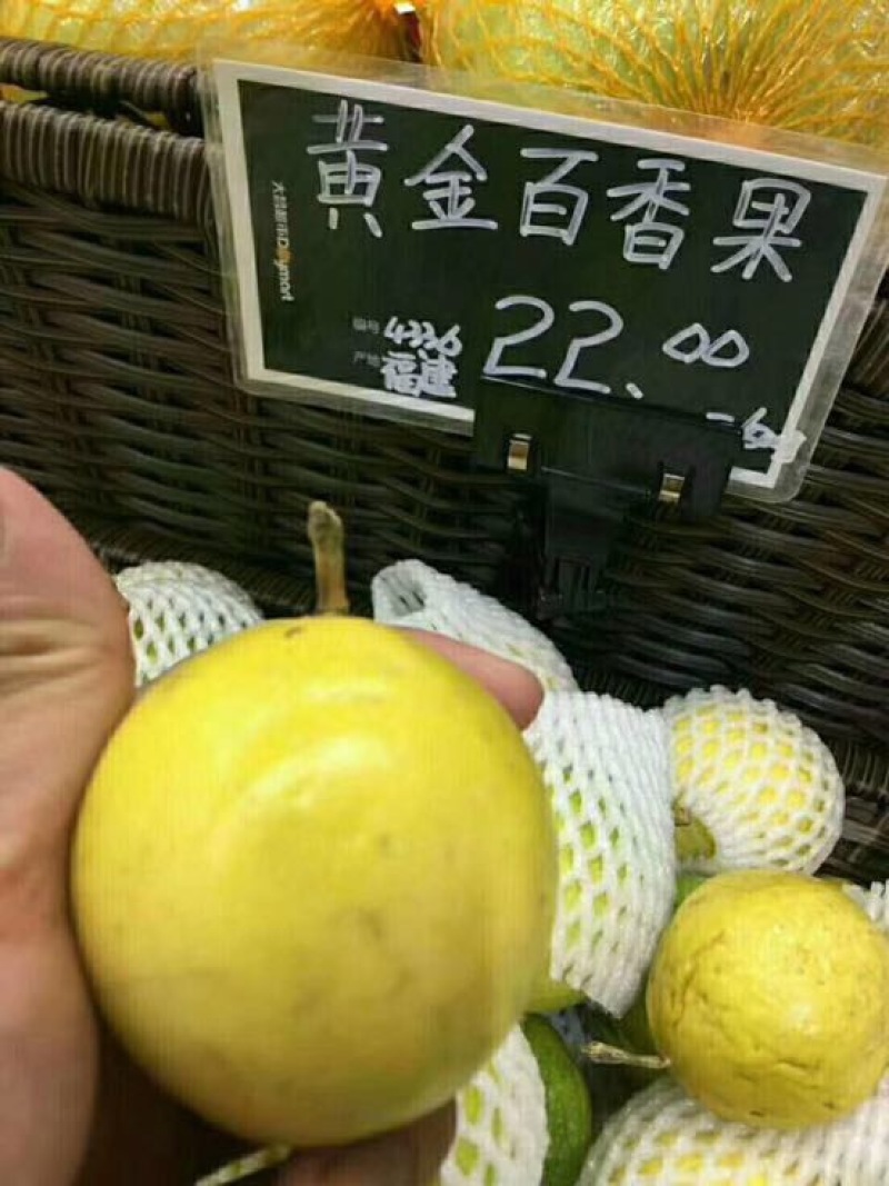 黄金百香果苗大果