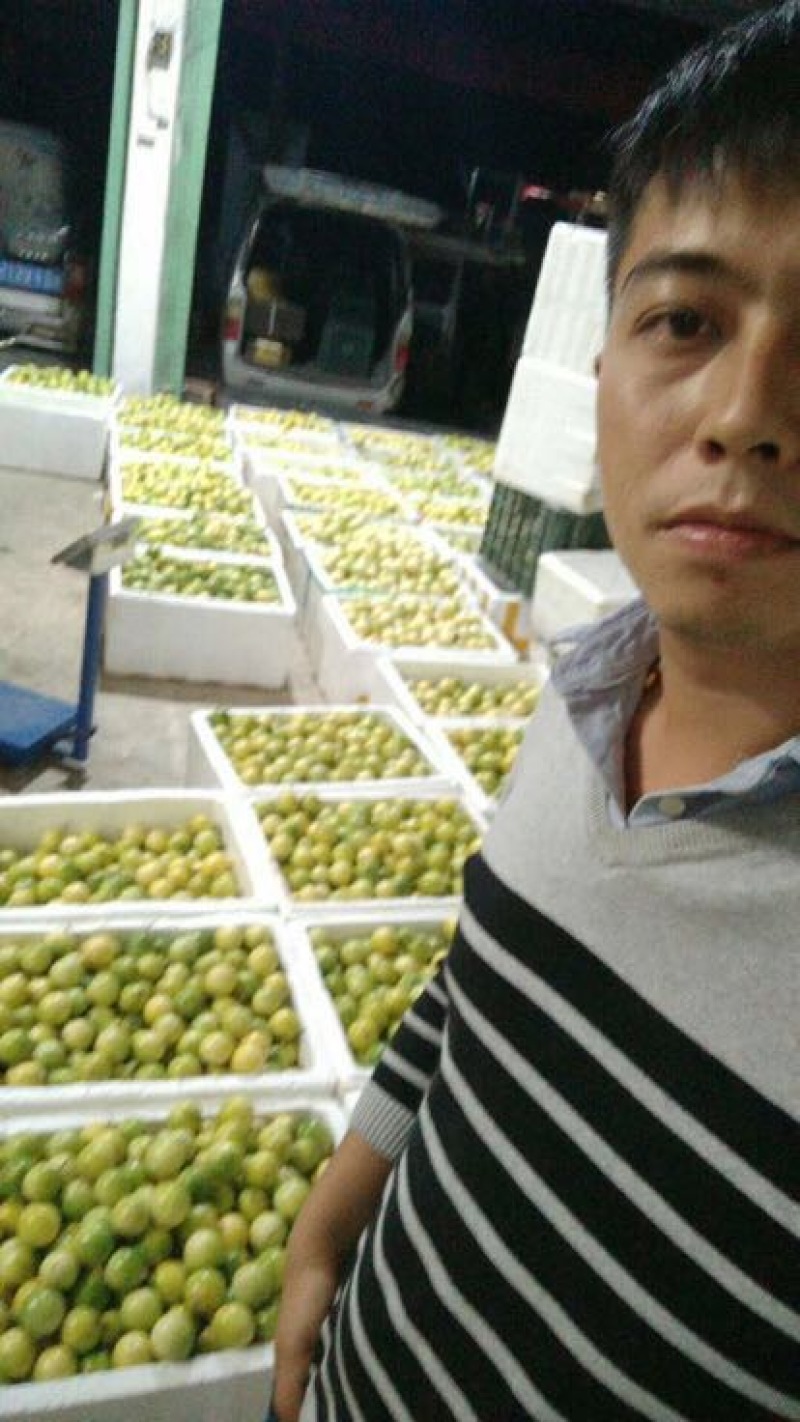 黄金百香果苗大果