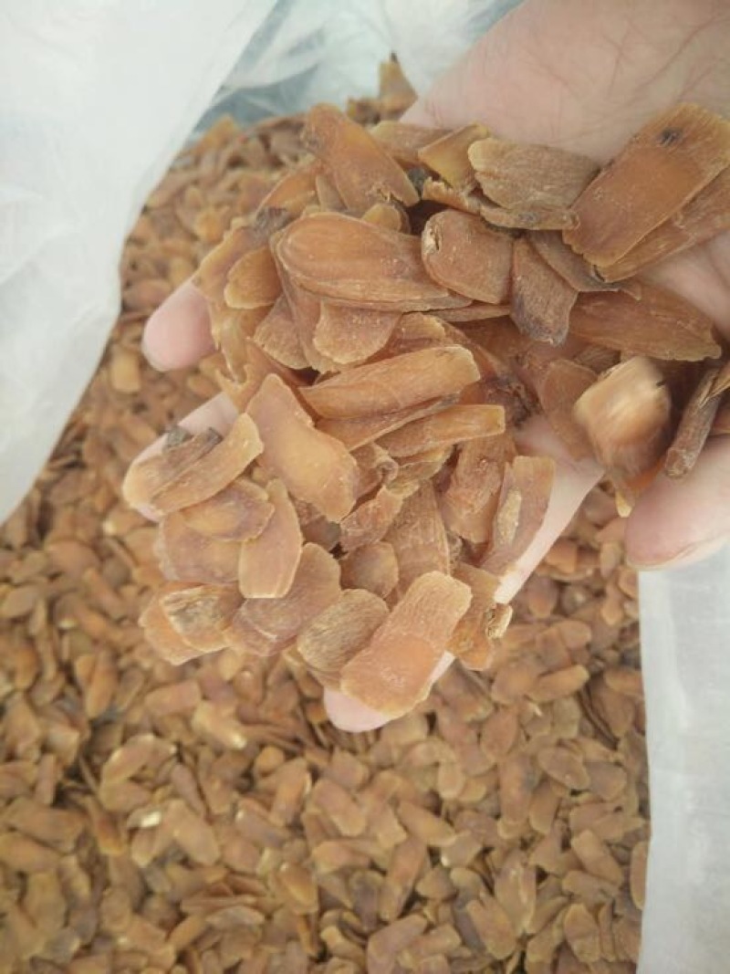 吉林人参红参片无糖红参小片片片带纹含量达标