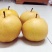 梨树4~6cm1.5~2米