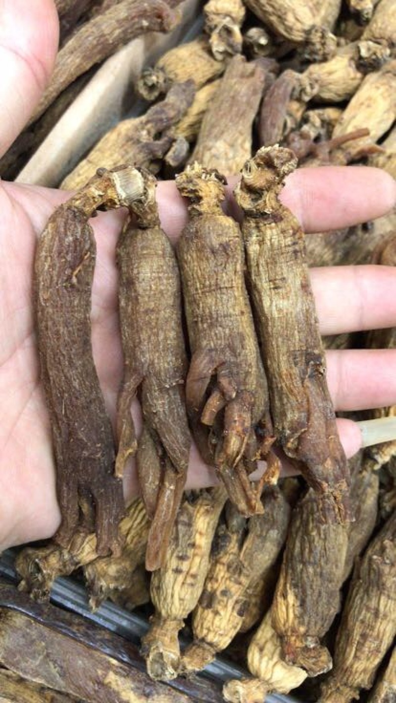 红参