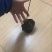 北美冬青2cm以下0.5米以下