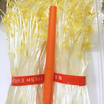 松柳芽苗菜包装
