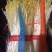松柳芽苗菜包装