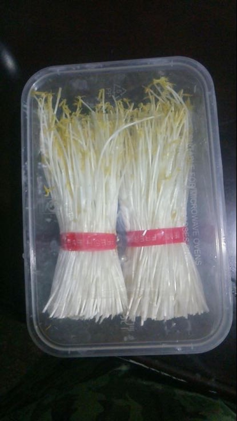 松柳芽苗菜包装