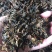 梅干菜