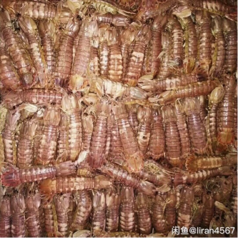 皮皮虾冻虾