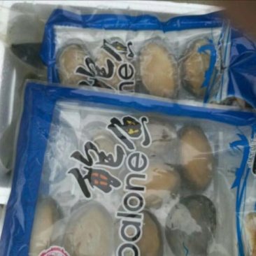 鲍鱼食用