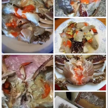 梭子蟹食用冻品