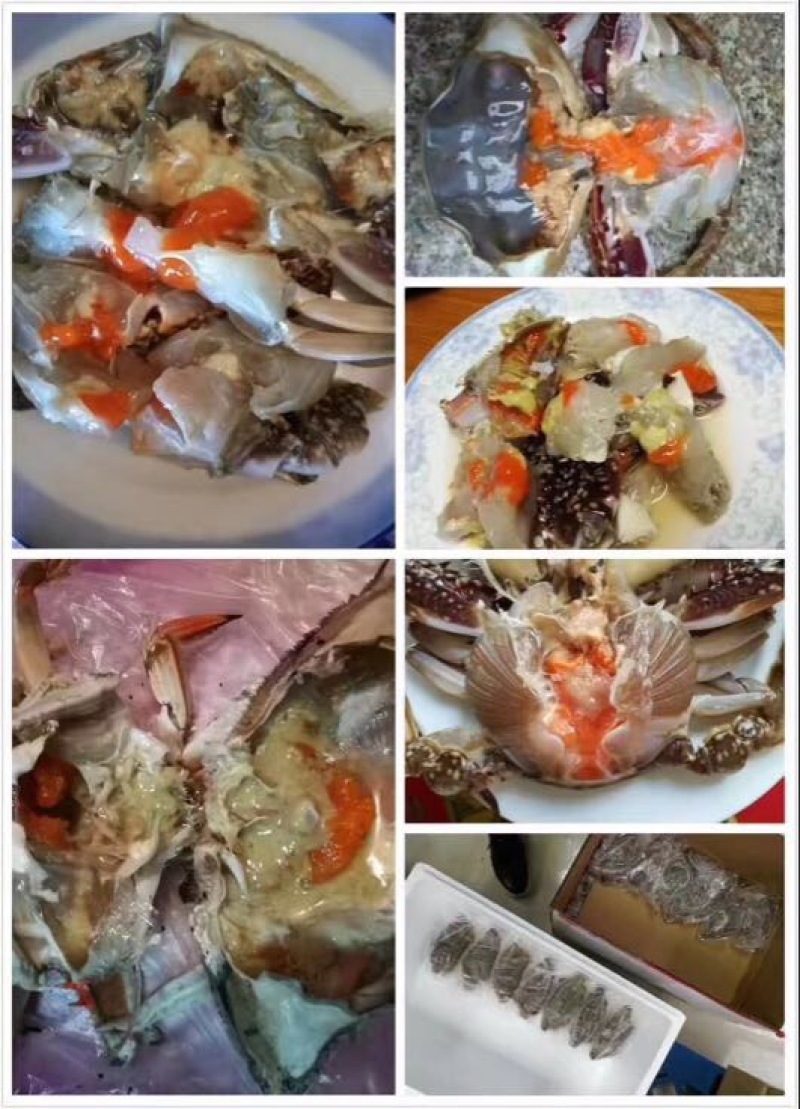 梭子蟹食用冻品