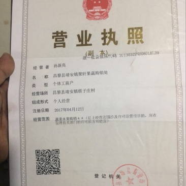 甘蓝