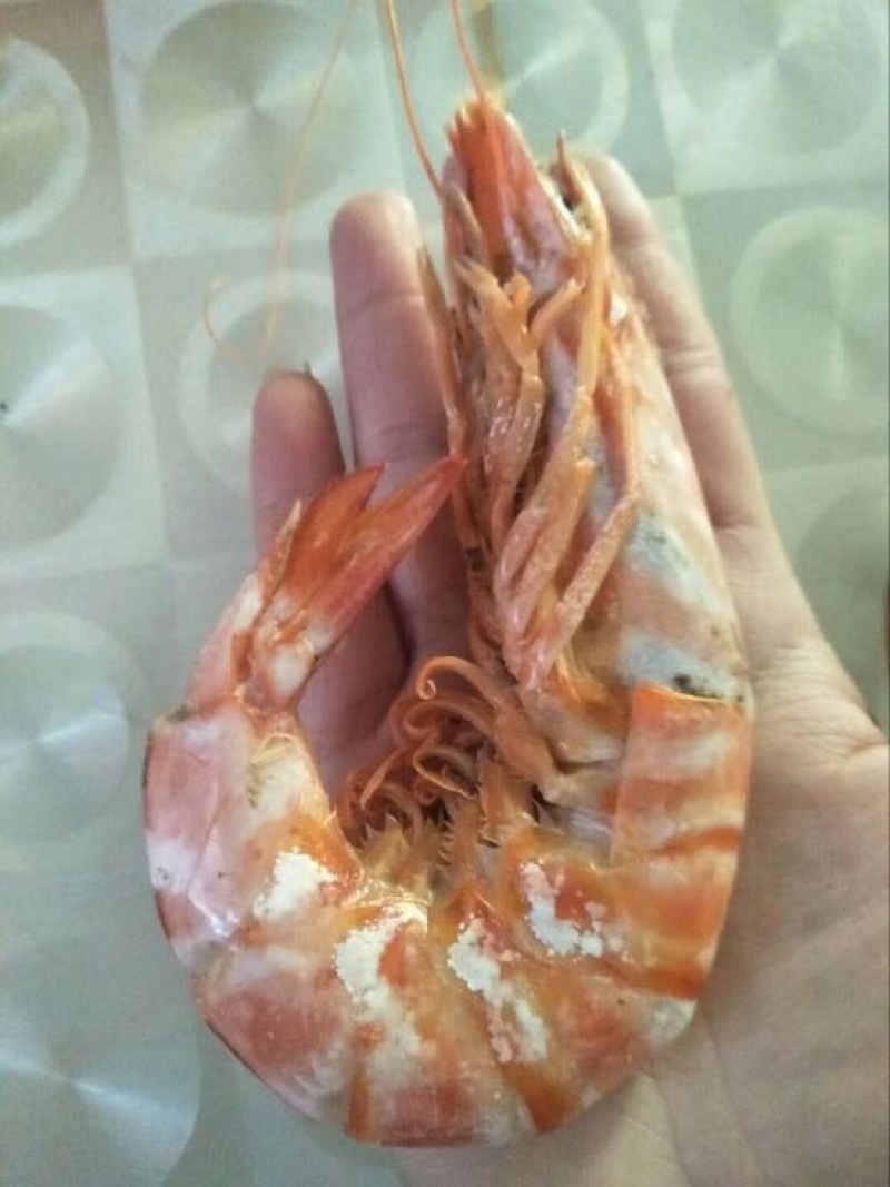 南美白对虾食用冰鲜虾