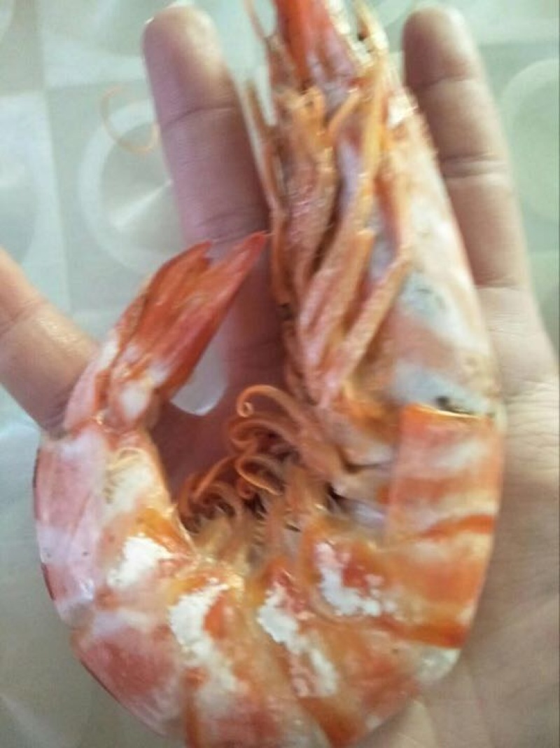 南美白对虾食用冰鲜虾