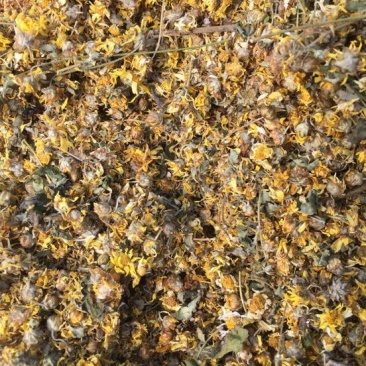 干菊花百花枕—助眠安神养生