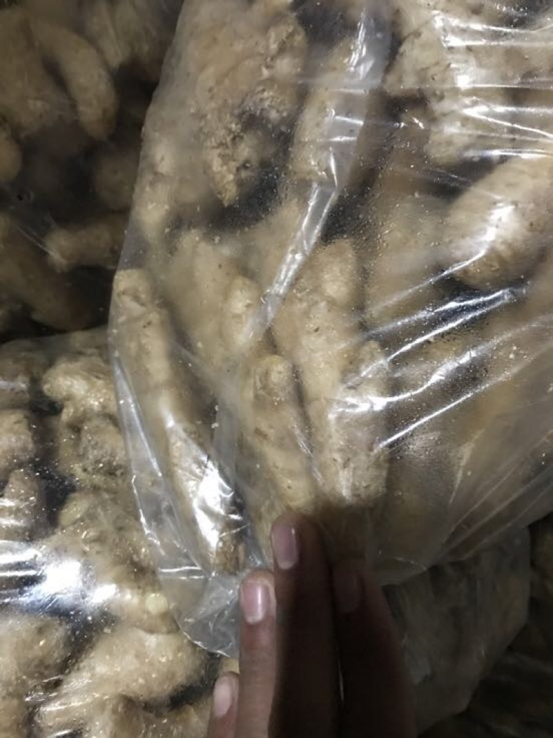 生姜3两以上水洗