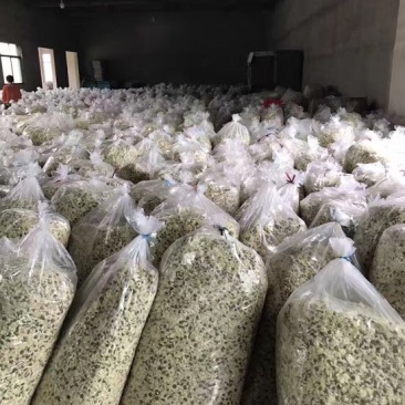黄山贡菊45一斤，200斤起